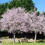 Apartamento Rural Artizarra *