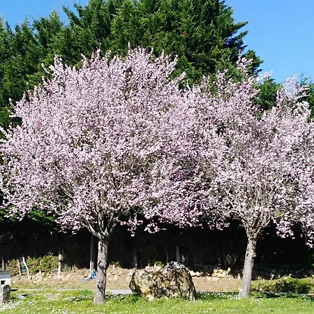Apartamento Rural Artizarra *