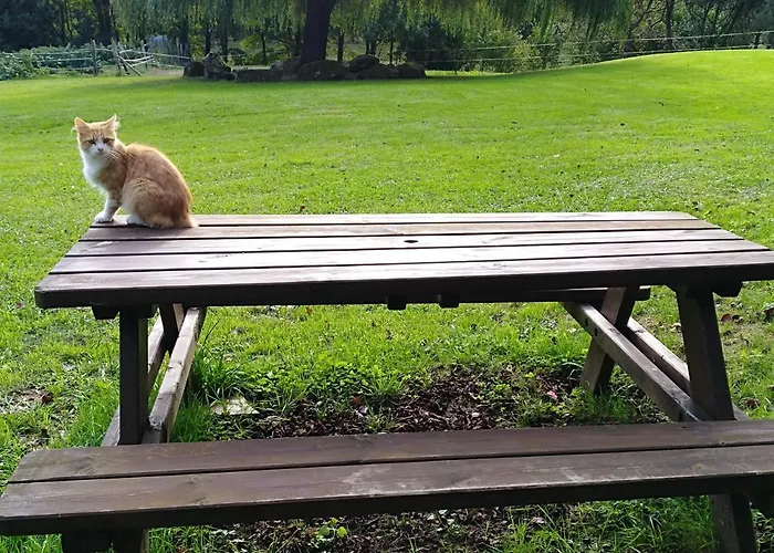Casa di campagna Apartamento Rural Artizarra Hondarribia