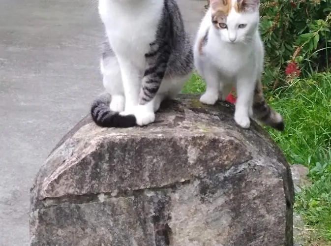 Apartamento Rural Artizarra Hondarribia