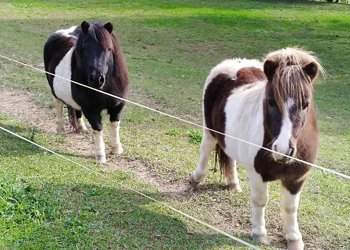 Apartamento Rural Artizarra *