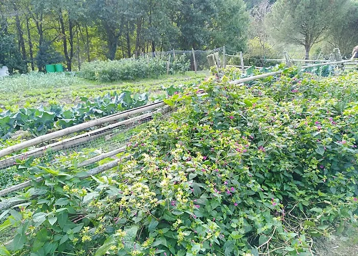 Casa di campagna Apartamento Rural Artizarra