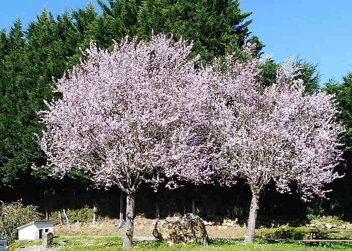 Apartamento Rural Artizarra *
