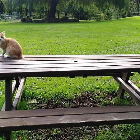 בית כפרי Apartamento Rural Artizarra הונדאריבה