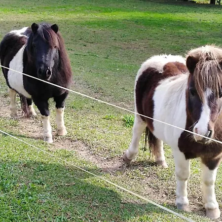 Apartamento Rural Artizarra *