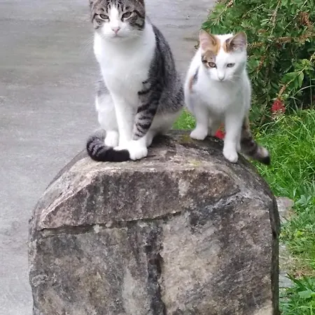 Apartamento Rural Artizarra 혼다리비아